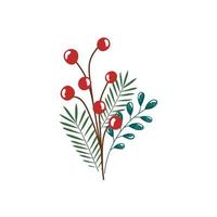 branch with leafs and seeds isolated icon vector