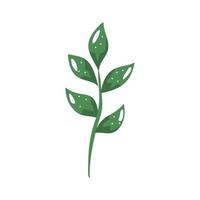 branch with leafs nature ecology isolated icon vector