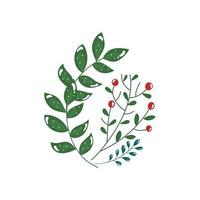 branches with leafs and seeds isolated icon vector