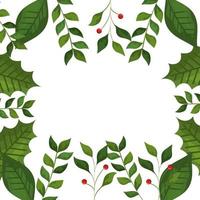 frame of leafs and branches with seeds christmas icons vector