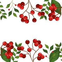 frame of leafs and branches with seeds christmas icons vector