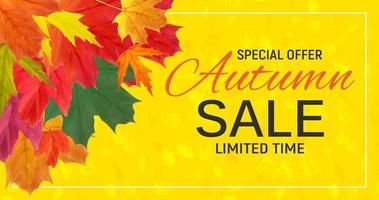 Banner de venta de hojas de otoño brillante. tarjeta de descuento comercial vector