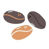 Hand drawn coffee beans. Flat illustration. vector