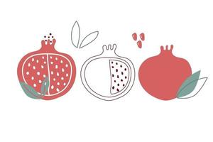 Hand drawn abstract and modern set of garnet, pomegranate with leaves vector