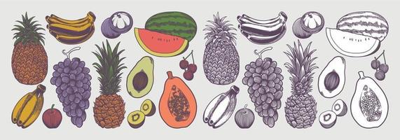 Colección de frutas con dibujo de boceto estilo vintage vector