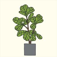 Doodle freehand sketch drawing of fiddle leaf fig tree. vector