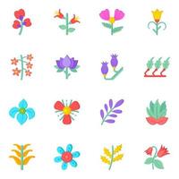 Flowers and Blossoms vector