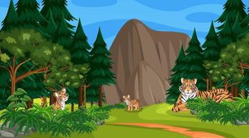 familia de tigres en el bosque o la escena de la selva tropical con muchos árboles vector