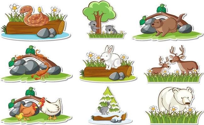 Sticker set with different wild animals and nature elements 3303687 Vector  Art at Vecteezy