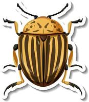 A sticker template with top view of colorado potato beetle isolated vector