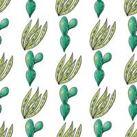 Cactus seamless pattern. vector