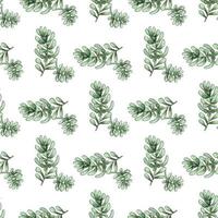 Cactus seamless pattern. vector