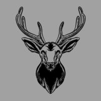 Illustration of vintage deer vector