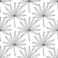 Hand drawn branches and leaves of tropical plants. Monochrome sketch vector