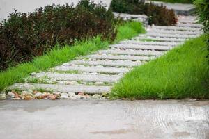 Walkway in the garden with copy space photo