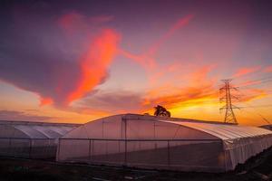 Green house at sunset photo