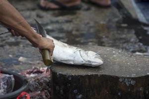 The assorted seafoods sold in fish market photo