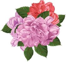 Rose flower and leaf vector