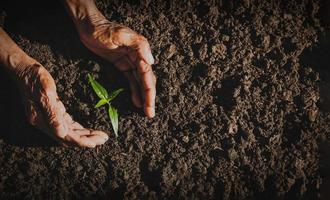 el concepto de personas mayores que plantan cosas nuevas para la próxima generación. foto