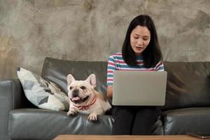 Casual freelance Asian cute woman working from home with her dog. photo