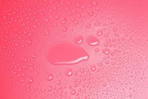 Close up water drops on pink background photo