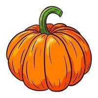 Pumpkin vector Illustration