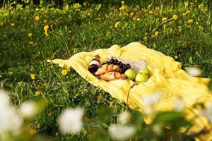 Picnic on the grass with croissant, pink wine, straw hat, grape photo