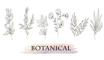 artes botánicas. dibujo de línea continua dibujada a mano de flor abstracta vector