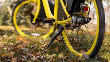 bicicleta amarilla con hojas caídas en el sol poniente. parque de otoño foto