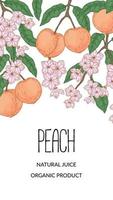 Hand drawn peach vertical design. Vector illustration in sketch style