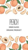 Hand drawn peach vertical design. Vector illustration in sketch style