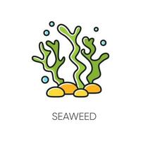 Seaweed RGB color icon vector