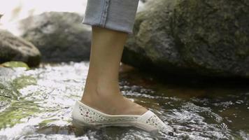 jambes de femme marchant sur les rochers de la rivière au milieu de la forêt tropicale video