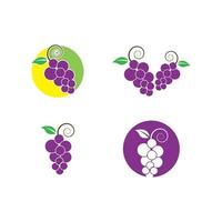 Grape with leaf vector