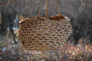 Textura de cesta de mimbre hecha a mano tradicional de Corea.