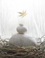 A pile of three white stones isolated in a bird nest photo