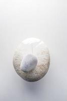 Top view of white stone and feather on a white background photo