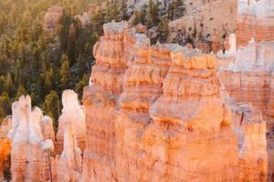 Pillars at Bryce Canyon nation park photo