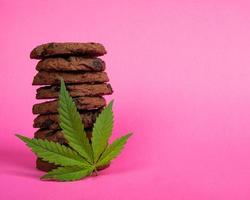 Sweet cookies and marijuana leaf with cannabis hash oil on pink background copy space. photo