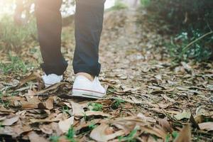 Man is walking into the wood or jungle nature walk way. photo