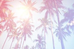 palmeras tropicales cocoteros en la llamarada del cielo al atardecer. foto