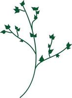 Green branch with sharp leaves vector