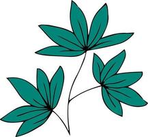 Green branch with leaves heart shape vector