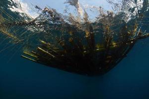 Underwater background, Bali sea, Indonesia photo