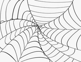 telaraña con fondo de araña. ilustración vectorial