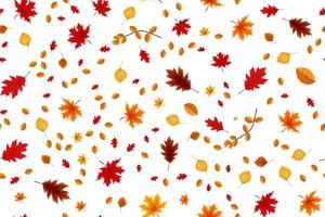 Autumn seamless pattern background with falling leaves. vector