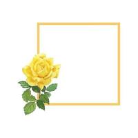 A Frame of Yellow Rose Watercolor vector