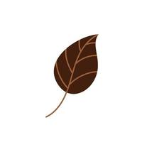 hoja de otoño caída marrón. ilustración vectorial vector