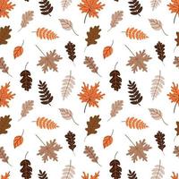 pattern with fallen leaves on a white background vector