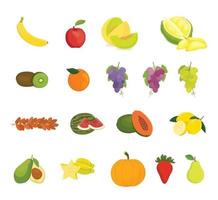 fruit collection with various kind of fruits and color variant vector